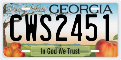 GA license plate CWS2451