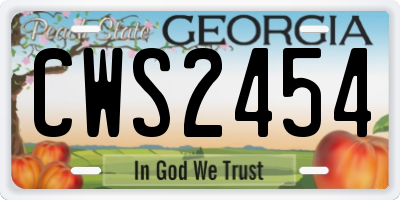 GA license plate CWS2454