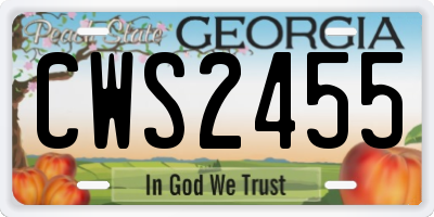 GA license plate CWS2455