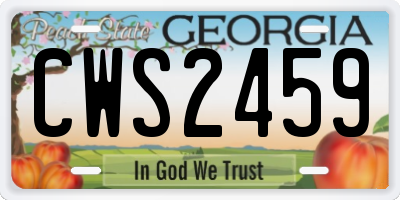 GA license plate CWS2459