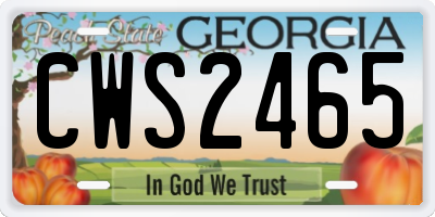 GA license plate CWS2465