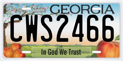 GA license plate CWS2466