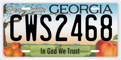 GA license plate CWS2468