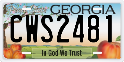 GA license plate CWS2481