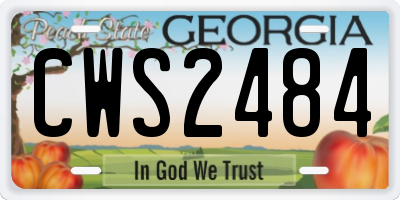 GA license plate CWS2484