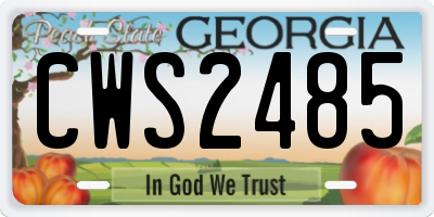 GA license plate CWS2485