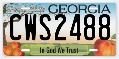 GA license plate CWS2488
