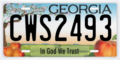 GA license plate CWS2493