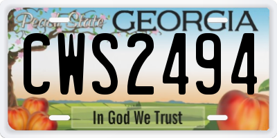 GA license plate CWS2494