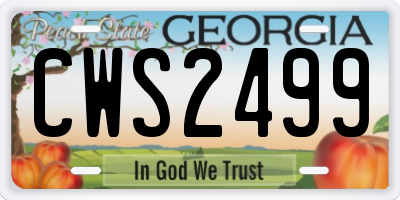 GA license plate CWS2499