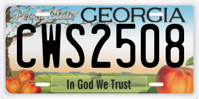 GA license plate CWS2508