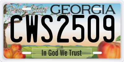GA license plate CWS2509