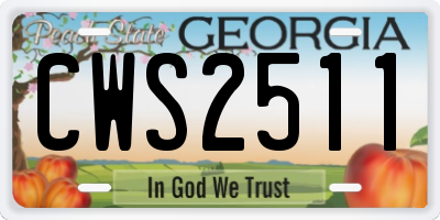 GA license plate CWS2511