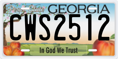 GA license plate CWS2512