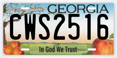 GA license plate CWS2516