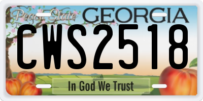 GA license plate CWS2518