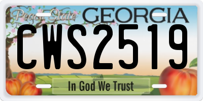 GA license plate CWS2519