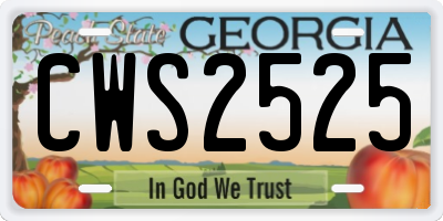 GA license plate CWS2525