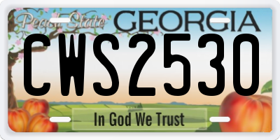 GA license plate CWS2530