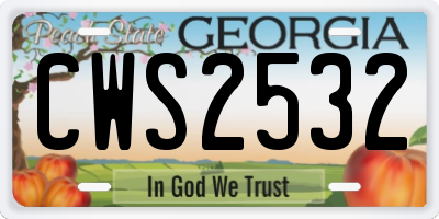 GA license plate CWS2532