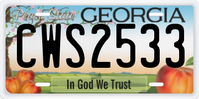 GA license plate CWS2533