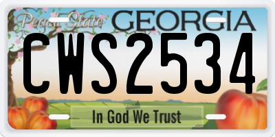 GA license plate CWS2534