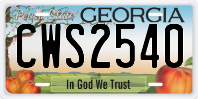 GA license plate CWS2540