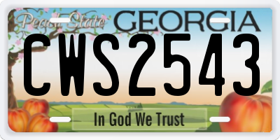 GA license plate CWS2543