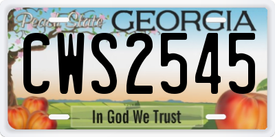 GA license plate CWS2545