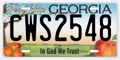 GA license plate CWS2548