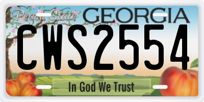 GA license plate CWS2554