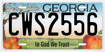 GA license plate CWS2556