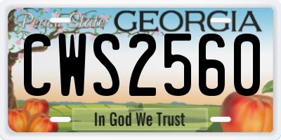GA license plate CWS2560