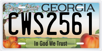GA license plate CWS2561