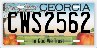 GA license plate CWS2562