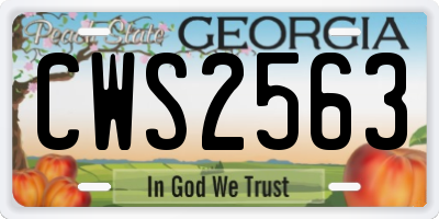 GA license plate CWS2563