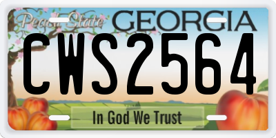 GA license plate CWS2564