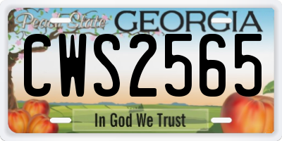 GA license plate CWS2565