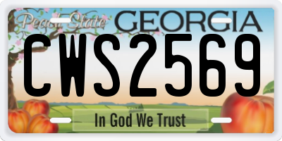 GA license plate CWS2569