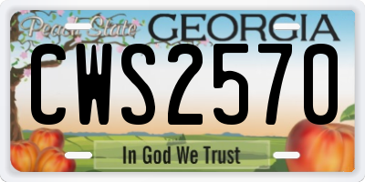 GA license plate CWS2570