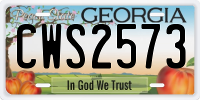 GA license plate CWS2573