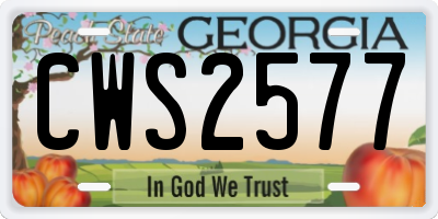 GA license plate CWS2577