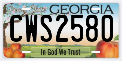 GA license plate CWS2580