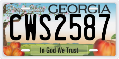 GA license plate CWS2587