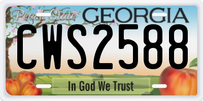 GA license plate CWS2588