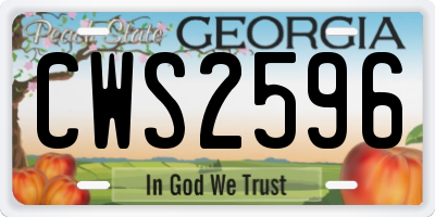 GA license plate CWS2596