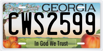 GA license plate CWS2599