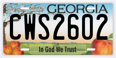 GA license plate CWS2602