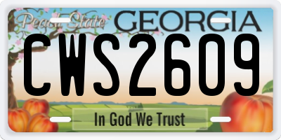 GA license plate CWS2609