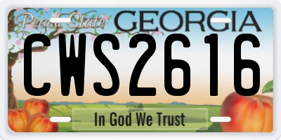 GA license plate CWS2616